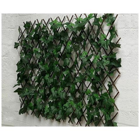 Traliccio Edera Rampicante Verde Frangivista Recinzione Giardino Balcone 1x2mt - Foto 1