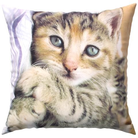 Set Di 2 Copricuscini 40x40 Cm Design Gattino Sdraiato - Foto 1