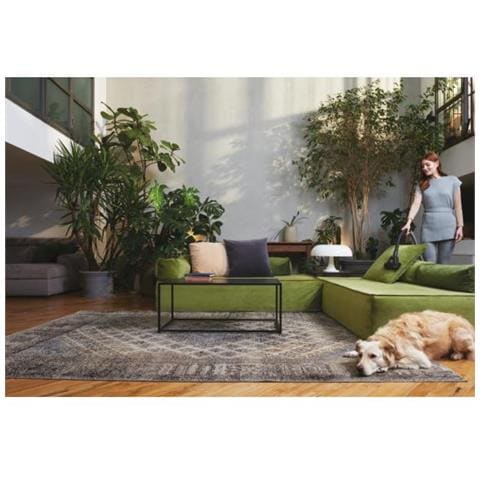 Hoover Traino Hp120pet 011 - Foto 2