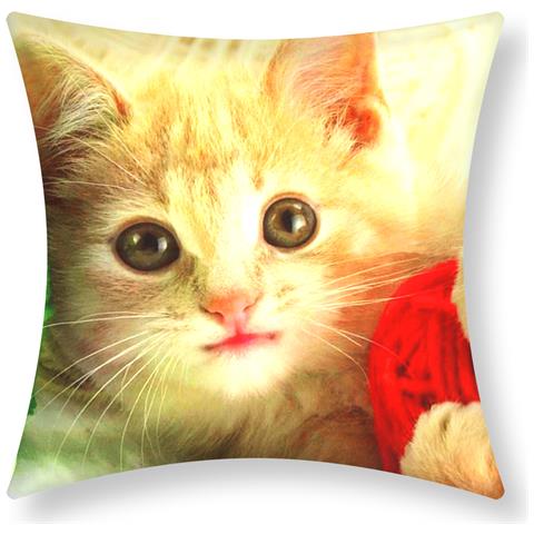 Set Di 2 Copricuscini 40x40 Cm Kitten Pelote Design - Foto 1