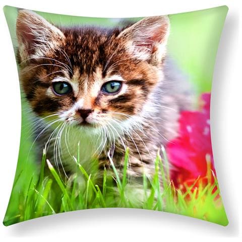 Set Di 2 Copricuscini 40x40 Cm Con Motivo A Gattini Da Giardino - Foto 1