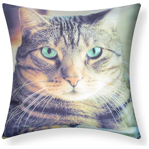 Set Di 2 Copricuscini 40x40 Cm Design Gatto A Pelo Corto - Foto 1