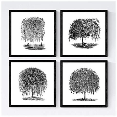 Set Di 4 Stampe Fogli Di Alberi. Alberi Salici , Bianco 250g Poster Di Carta E Gli Inchiostri Di Alta Qualità. Senza Cornice 20x20 Cm - Foto 1