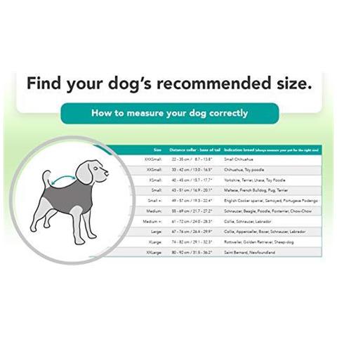 Recupero Suit Cane Piccolo Inoltre Rosa Camuffamento - Foto 2