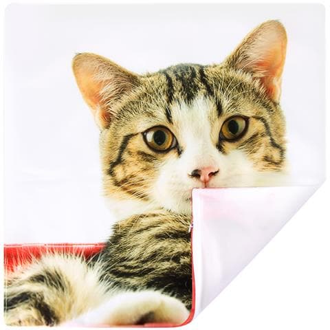 Set Di 2 Copricuscini 40x40 Cm Design Gatto Cestino Rosa - Foto 2