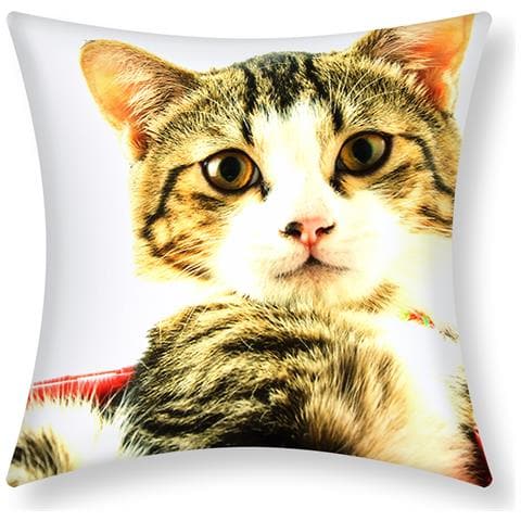 Set Di 2 Copricuscini 40x40 Cm Design Gatto Cestino Rosa - Foto 1