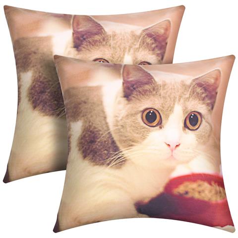 Set Di 2 Copricuscini 40x40 Cm Design Gatto E Ciotola - Foto 5