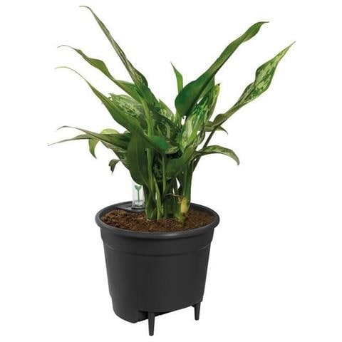 Vaso Ø 33 Cm Nero Plastica - Foto 1
