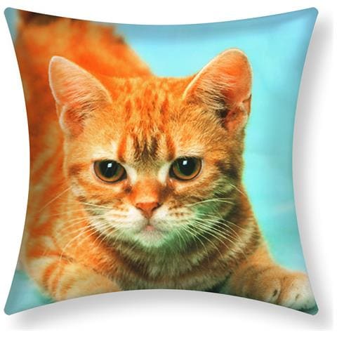 Set Di 2 Copricuscini 40x40 Cm Design Gatto Giallo - Foto 1