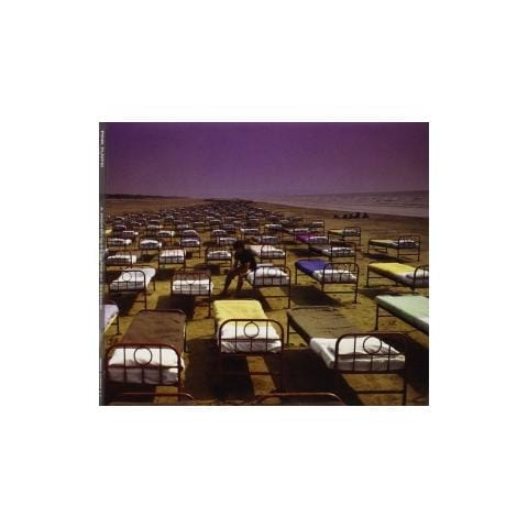 Cd Pink Floyd A Momentary Lapse Of Reason - Foto 2