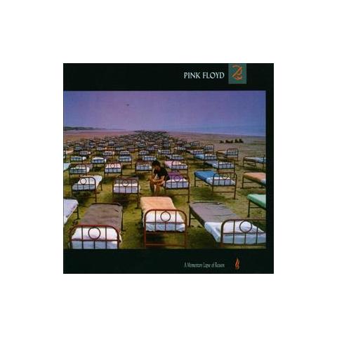 Cd Pink Floyd A Momentary Lapse Of Reason - Foto 1