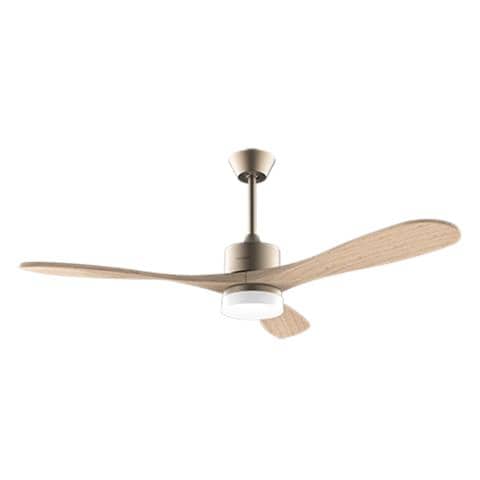 05983 ventilatore Oro - Foto 1