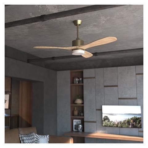 05983 ventilatore Oro - Foto 10