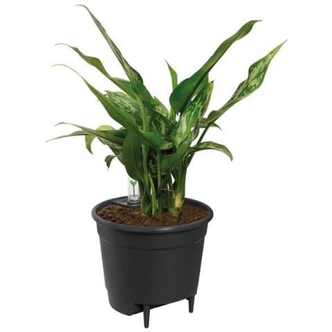 Vaso Elho Ø 36 Cm Plastica - Foto 1