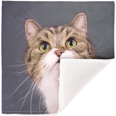 Set Di 2 Copricuscini 40x40 Cm Design Baffi Di Gatto - Foto 5