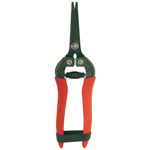 Forbici Ortofrutta Cogliuva In Acciaio Lama Curva 18cm Brixo - Foto 1