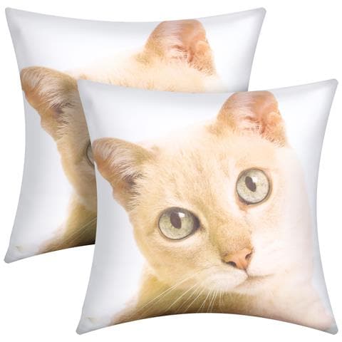 Set Di 2 Copricuscini 40x40 Cm Design Gatto - Foto 2