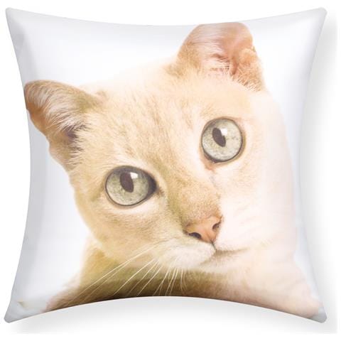 Set Di 2 Copricuscini 40x40 Cm Design Gatto - Foto 1