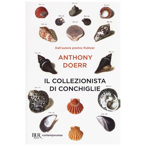 Anthony Doerr - Il collezionista di conchiglie - Foto 1