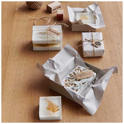 Foglia Di Felce Essiccata E Pressata - Foto 1