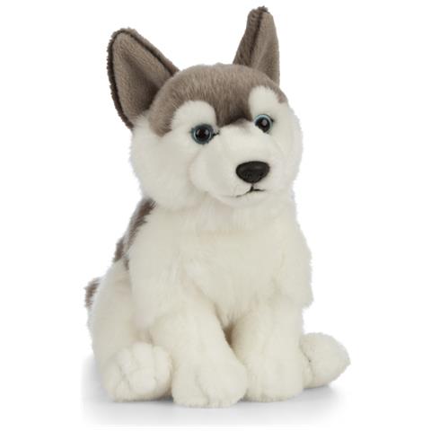 Inoltre Gufo - Foto 1