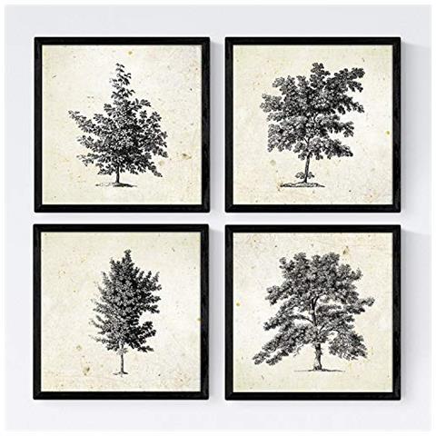 Set Di 4 Stampe Fogli Di Alberi Alberi Senza Fiori Di Taglia Vecchio Sfondo Carta Poster Carta E Inchiostri Di Alta Qualità Senza Cornice 20x20 Cm - Foto 1