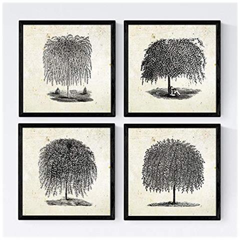 Set Di 4 Stampe Fogli Di Alberi. Salici , Sfondo D'epoca Vecchia Carta Poster Di Carta 250 Gr E Gli Inchiostri Di Alta Qualità. Senza Cornice 20x20 Cm - Foto 1