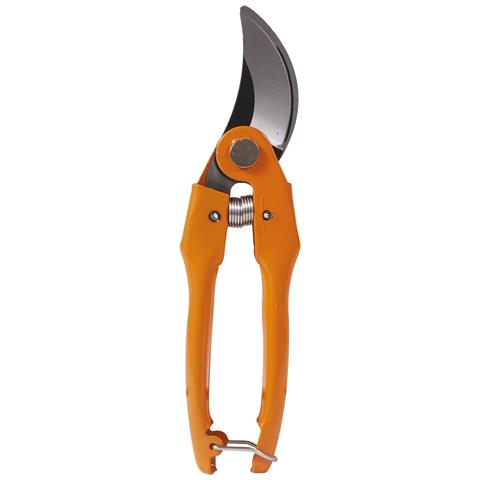 Forbice Da Pota 23 Cm. Brixo France - Foto 3