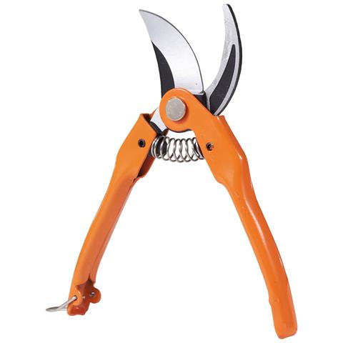Forbice Da Pota 23 Cm. Brixo France - Foto 1
