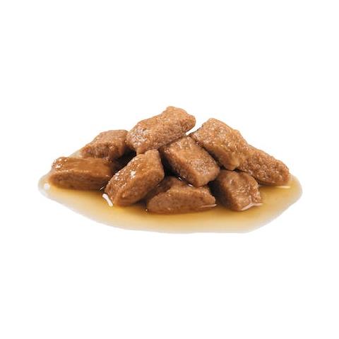 Cibo Per Cani Medium Adult Buste 10x140gr - Foto 2