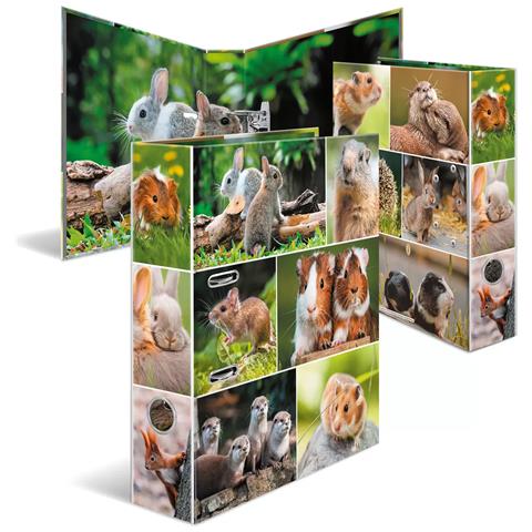 HERMA 19252 raccoglitore ad anelli A4 Multicolore - Foto 1