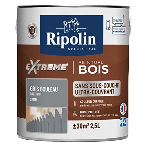 Ripolin 321647 Dipinto - Foto 1
