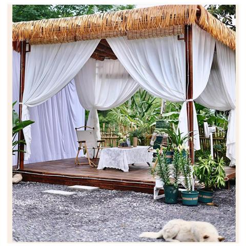 Tenda Da Esterno Con Ganci (larghezza 2,0 M X Altezza 2,5 M) - Foto 2