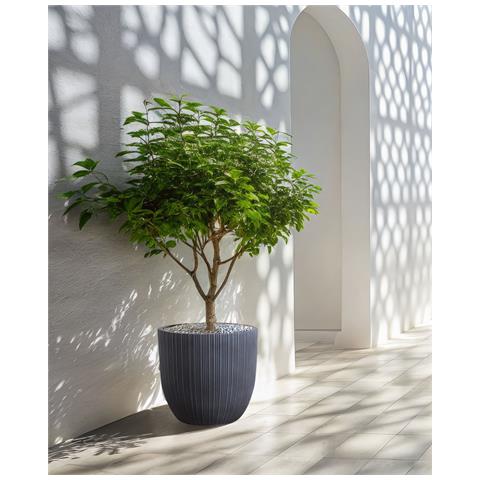 Vaso Per Piante Fraxinus 42 Cm Grigio Grafite - Foto 1