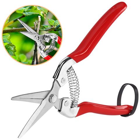 Cesoie Da Potatura Da Giardino L Modello 1 - Foto 1