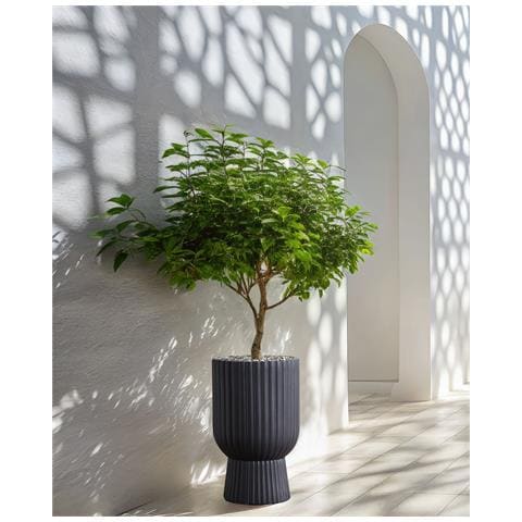 Vaso Per Piante Taxodium 34 Cm Grigio Grafite - Foto 1