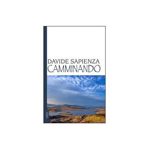 Davide Sapienza - Camminando - Foto 1