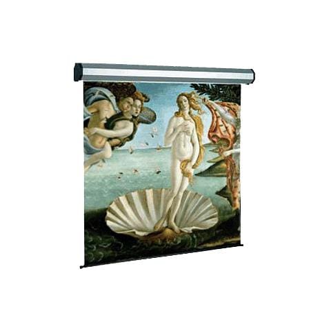 Schermo di proiezione SOPAR Electric Professional 5352 - Elettrico - 401,6 cm (158,1) - 16:9 - Montaggio a soffitto, Montaggio a muro - 197 cm (77,6) x 350 cm (137,8) - Foto 1