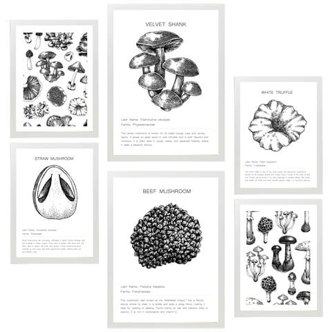 Set Di 6 Stampe Foglio Decorativo Con Composizione Di Funghi In Bianco E Nero Con Illustrazione Di Design Per Decorare L'ufficio Domestico A3 & A4 Cornice Bianca - Foto 1