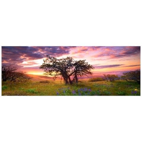 Ppz2000 Avh Oak Tree - Puzzle Panorama-29472 - Foto 1