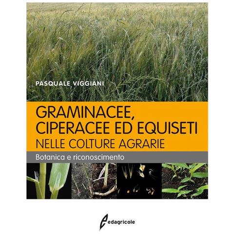 Pasquale Viggiani - Graminacee, ciperacee ed equiseti nelle colture agrarie. Botanica e riconoscimento - Foto 1