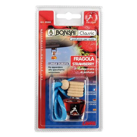 Bonsai Classic Fragola - Foto 1