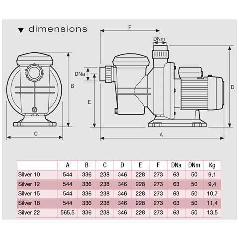 Pompa Di Filtrazione 18m3/h Trifase - Silver 18t - Foto 3