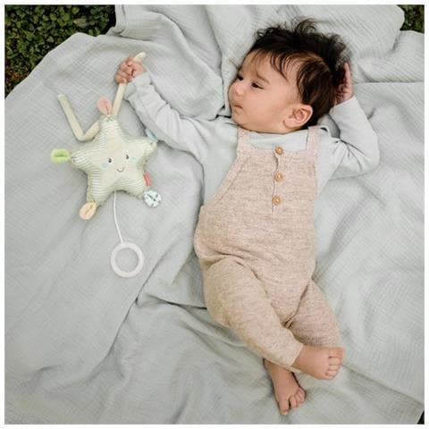 Stella Marina Musicale - Foto 3