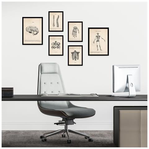 Set Di 6 Stampe Illustrazioni Mediche Di Scheletri In Stile Vintage Di Anatomia, Parti Del Corpo, Ossa E Muscoli A3 & A4 Senza Cornice - Foto 4