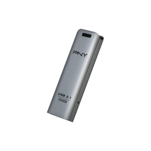 Chiavetta USB 256 GB Elite USB 3.2 Gen 1 Colore Acciaio Inossidabile - Foto 1