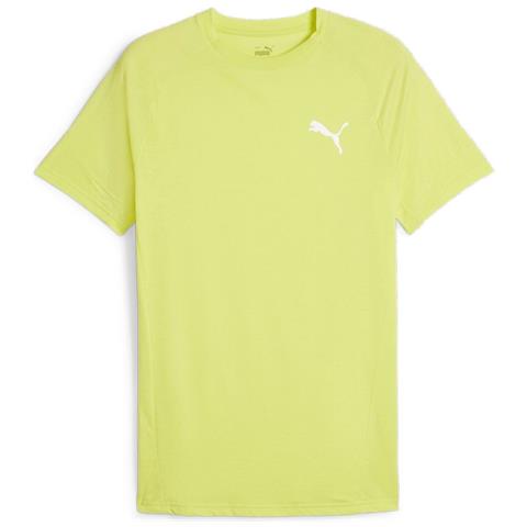 Evostripe Tee 67899238, Uomini, Verde, M - Foto 1