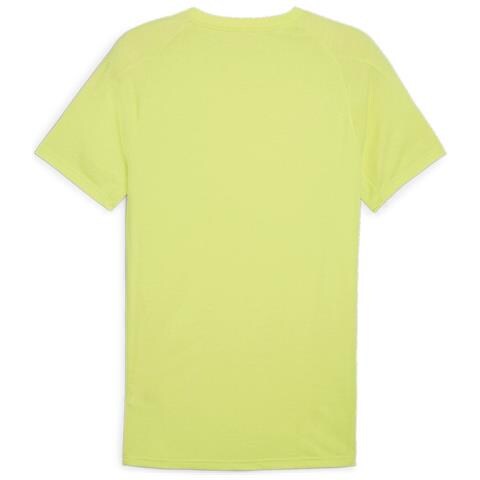 Evostripe Tee 67899238, Uomini, Verde, M - Foto 2