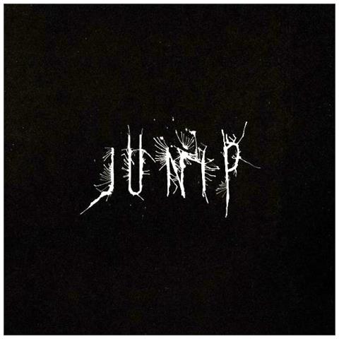 Junip - Junip - Foto 1