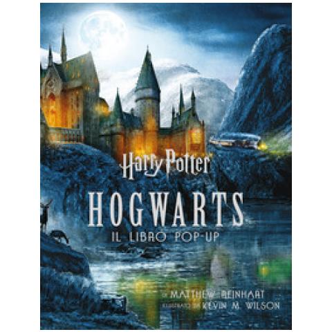 Matthew Reinhart - Harry Potter. Hogwarts. Il libro pop-up - Foto 1